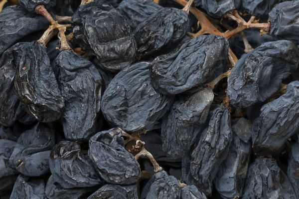 Comment vivre une expérience de vendanges traditionnelles dans la vallée du Douro, Portugal ?